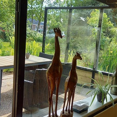 Natuurhuisje Eartswoud Aartswoud Zewnętrze zdjęcie