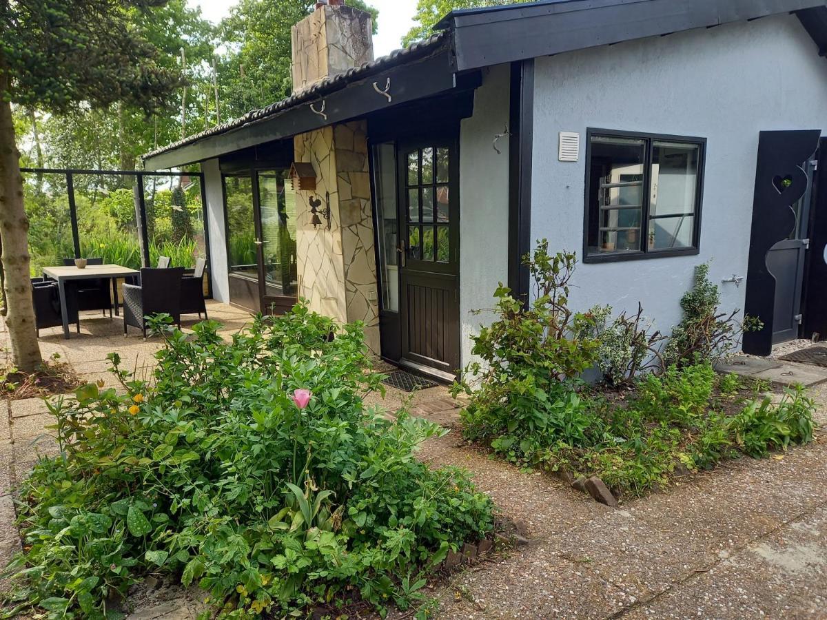 Natuurhuisje Eartswoud Aartswoud Zewnętrze zdjęcie
