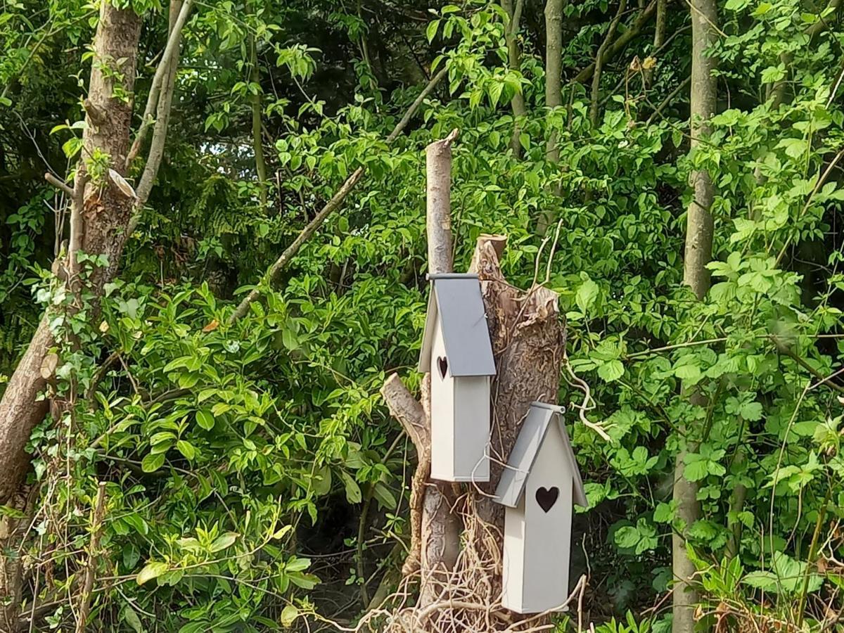 Natuurhuisje Eartswoud Aartswoud Zewnętrze zdjęcie
