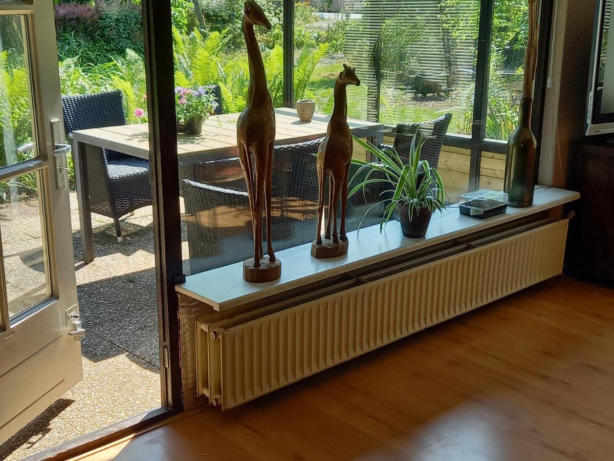Natuurhuisje Eartswoud Aartswoud Zewnętrze zdjęcie