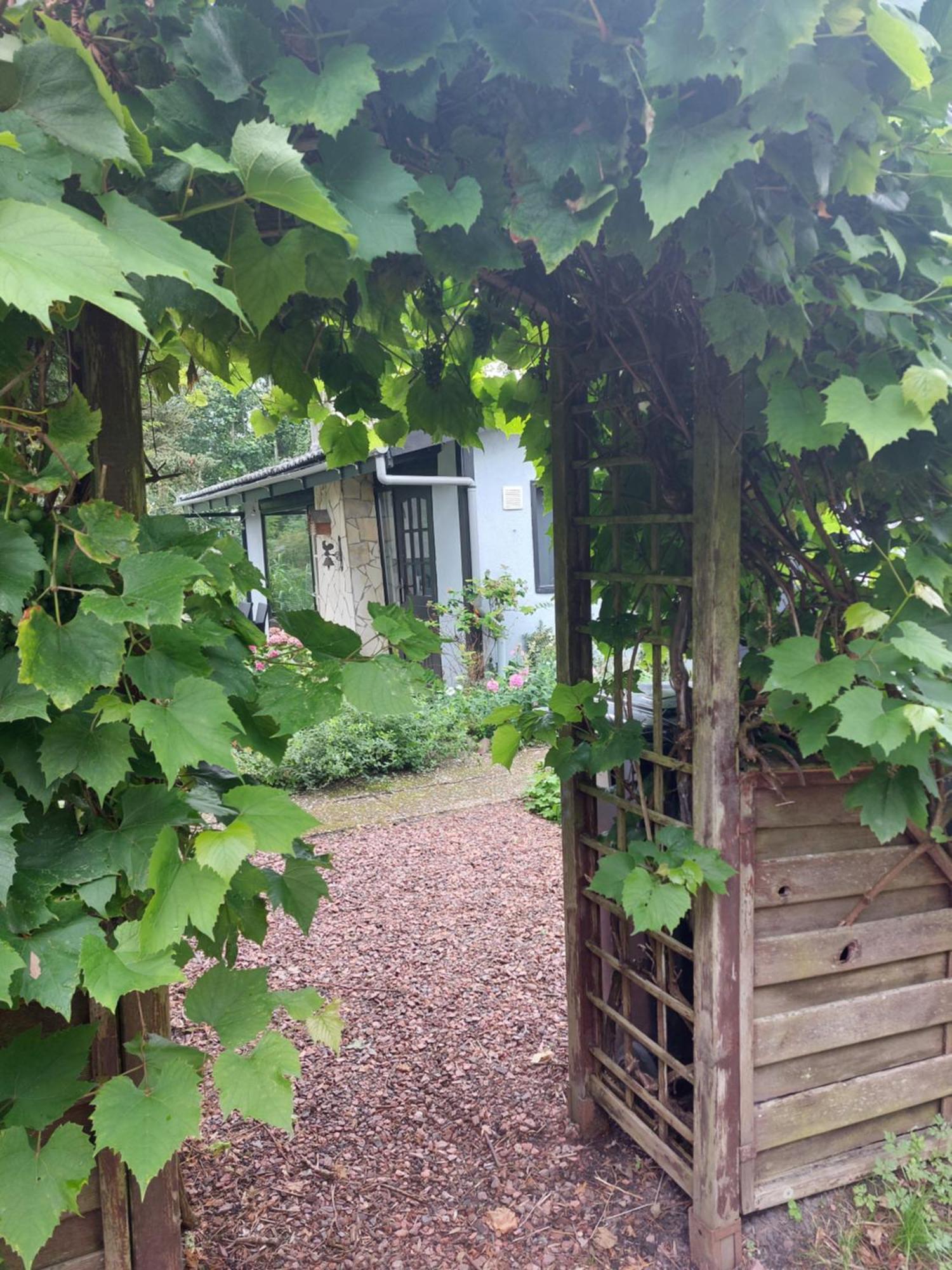 Natuurhuisje Eartswoud Aartswoud Zewnętrze zdjęcie