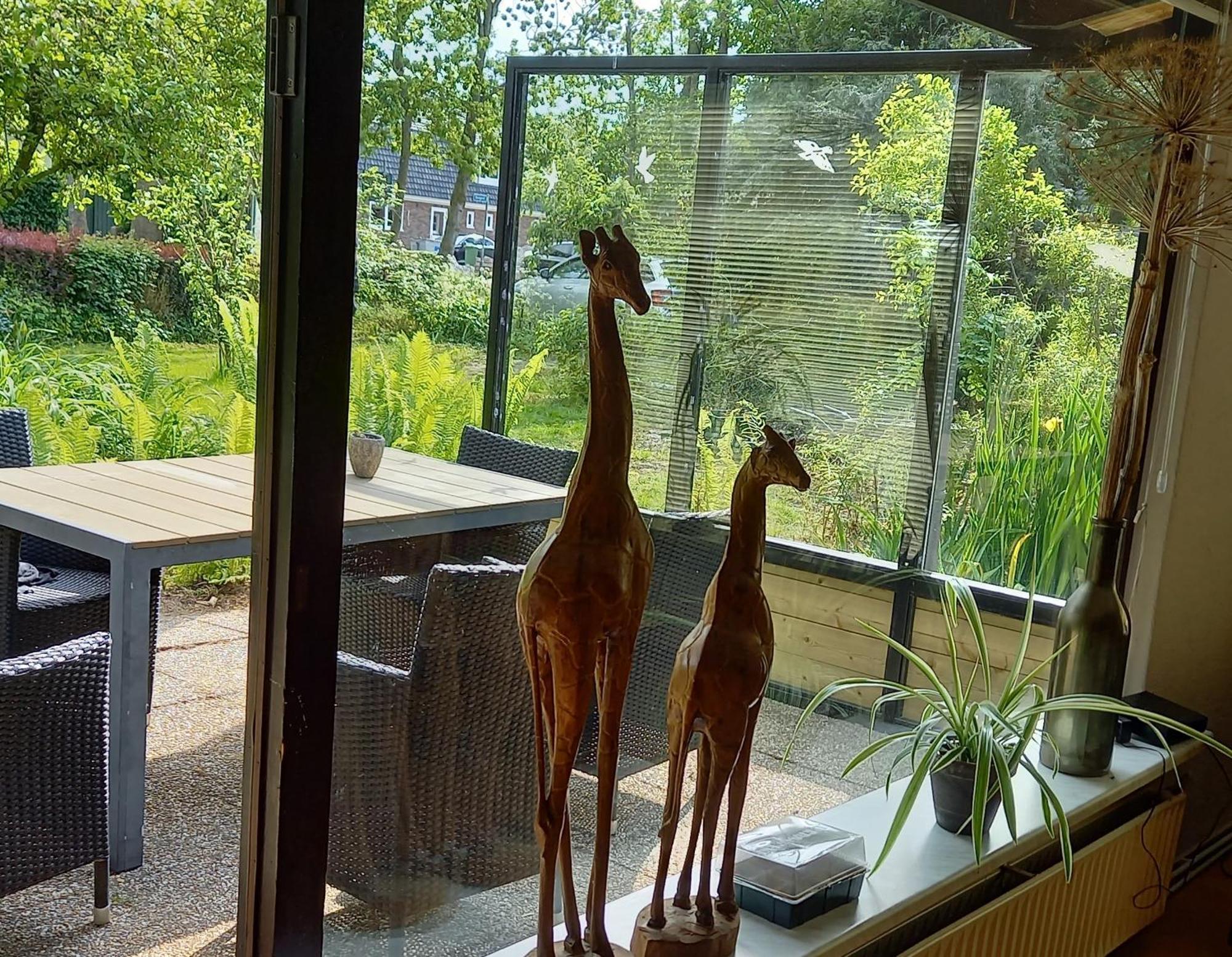 Natuurhuisje Eartswoud Aartswoud Zewnętrze zdjęcie
